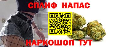 сатива Апшеронск