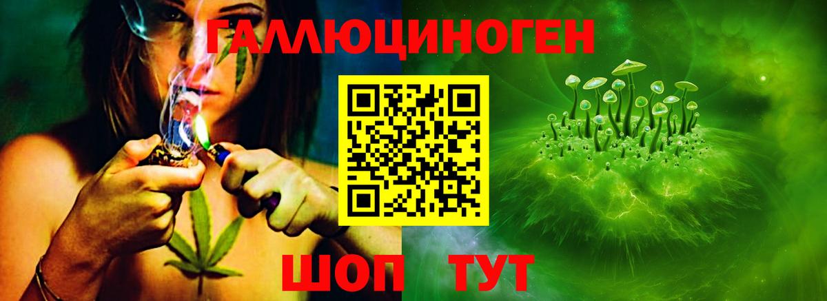 Галлюциногенные грибы ЛСД Кропоткин